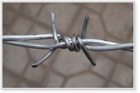 Barbed Wire, Plastic Covered Barbed Wire,