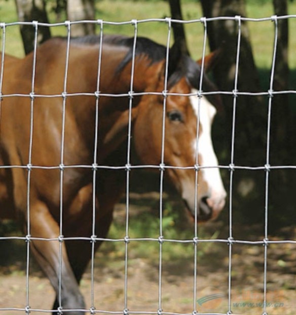 High Quality Galvanized Metal Steel Deer Fence Roll for Sale