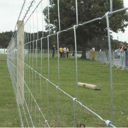 Galvanized Cattle Fence Mesh for Farm