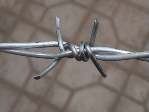 Barbed Iron Wire Galvanized Barbed Wire for Protection